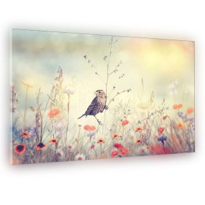 picture of glass kitchen splashback featuring sparrow